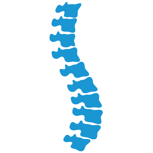 NuSpine Franchise Services Chiropractic